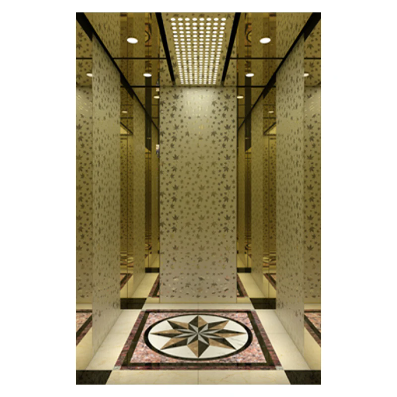 How Does a Panoramic Elevator Improve Modern Building Experiences?