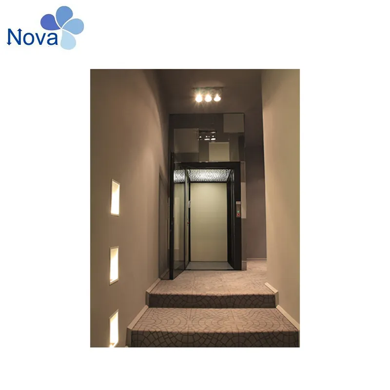 3 Persons 250kgs Villa Elevator Home Elevator Home Lift