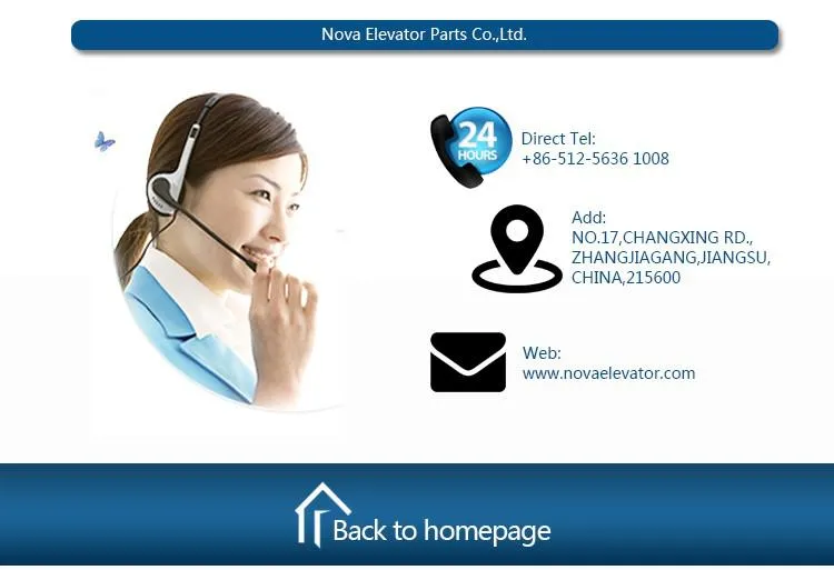 3 Persons 250kgs Villa Elevator Home Elevator Home Lift