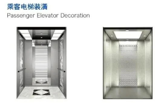 4 Panels Center Opening Door Small Home Lift Elevator