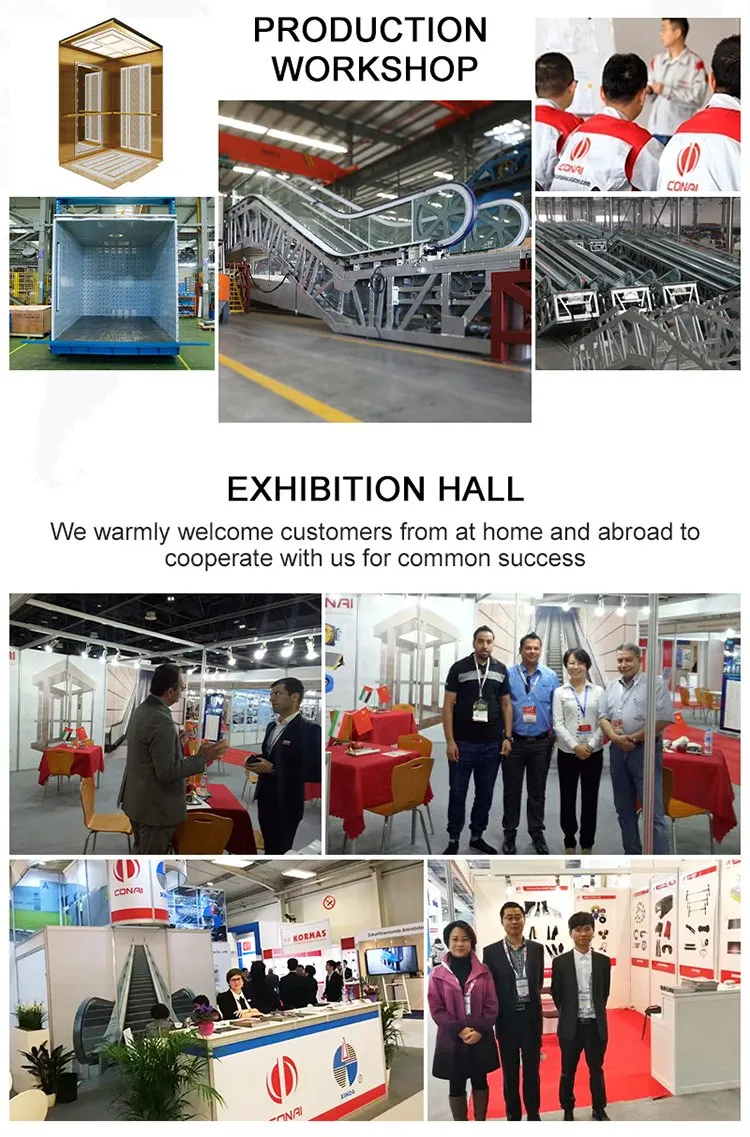 6-16 Person Observation Lift Passenger Elevator Sightseeing Glass Elevator Lift