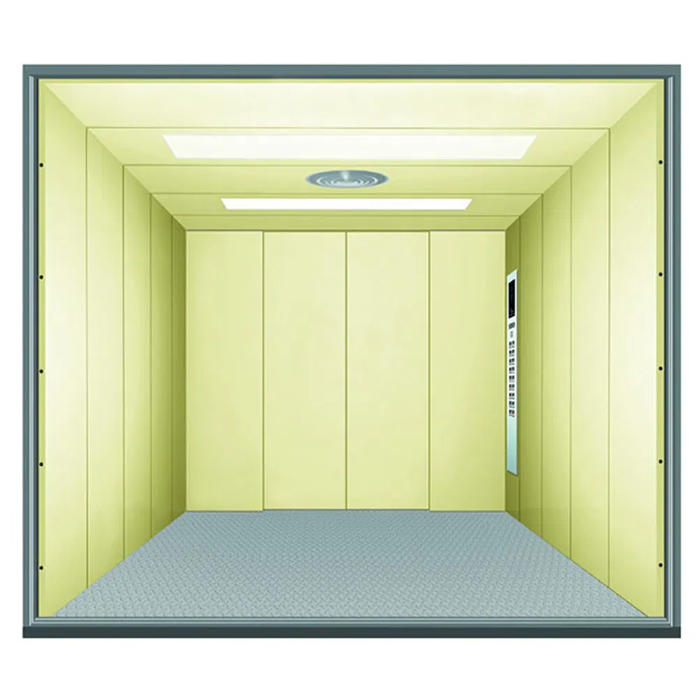 Automatic Opening AC Drive Capacity 1000kg Large Space Freight Elevator for Shopping Mall Use