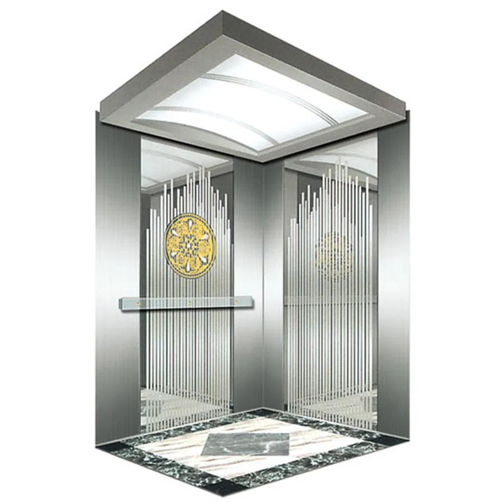 Capacity 630kg Center Opening High Speed Residential Passenger Elevator