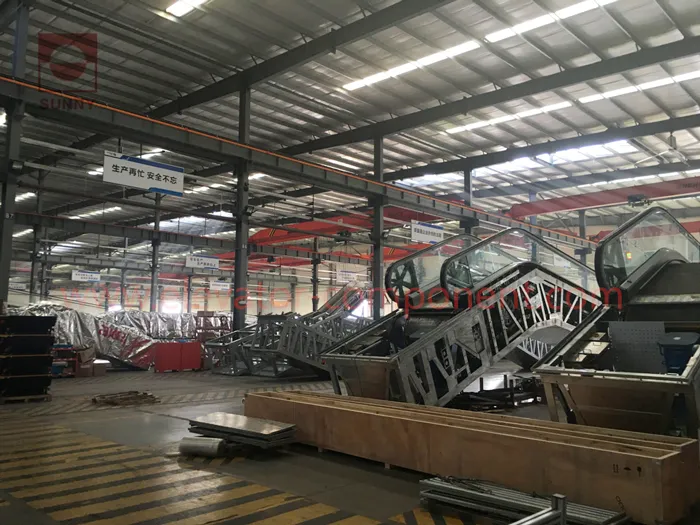 Ce Airport Sately with Vvvf Moving Walk