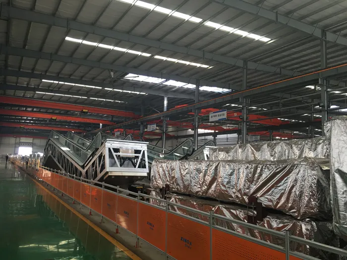 Ce Airport Sately with Vvvf Moving Walk