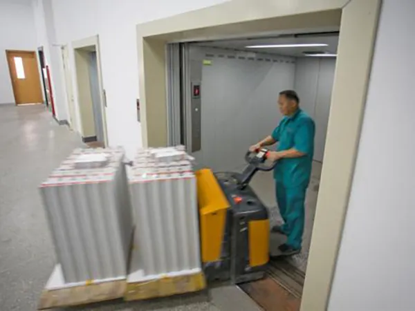 Center Opening Asia FUJI Cargo Freight Elevator Lift