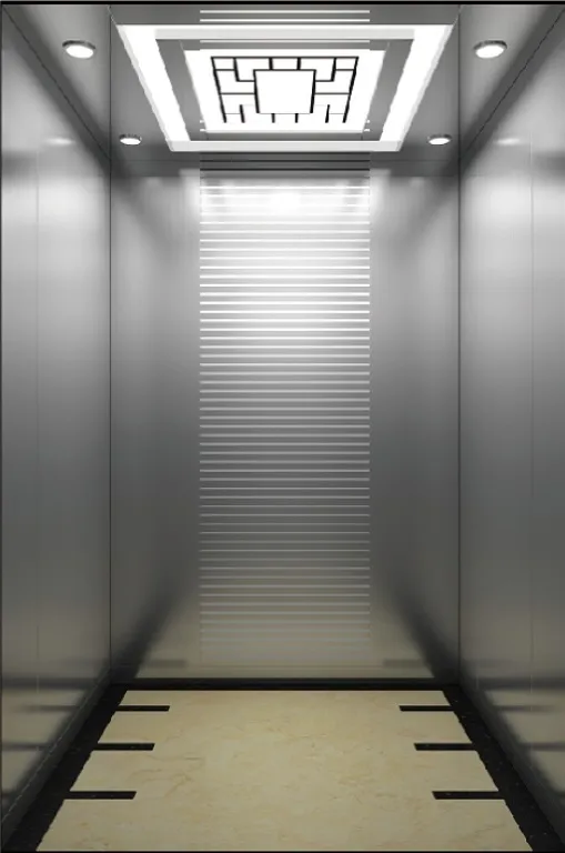 Center Opening Door Push-Button Control Hosting Ningbo Residential Elevator Emac