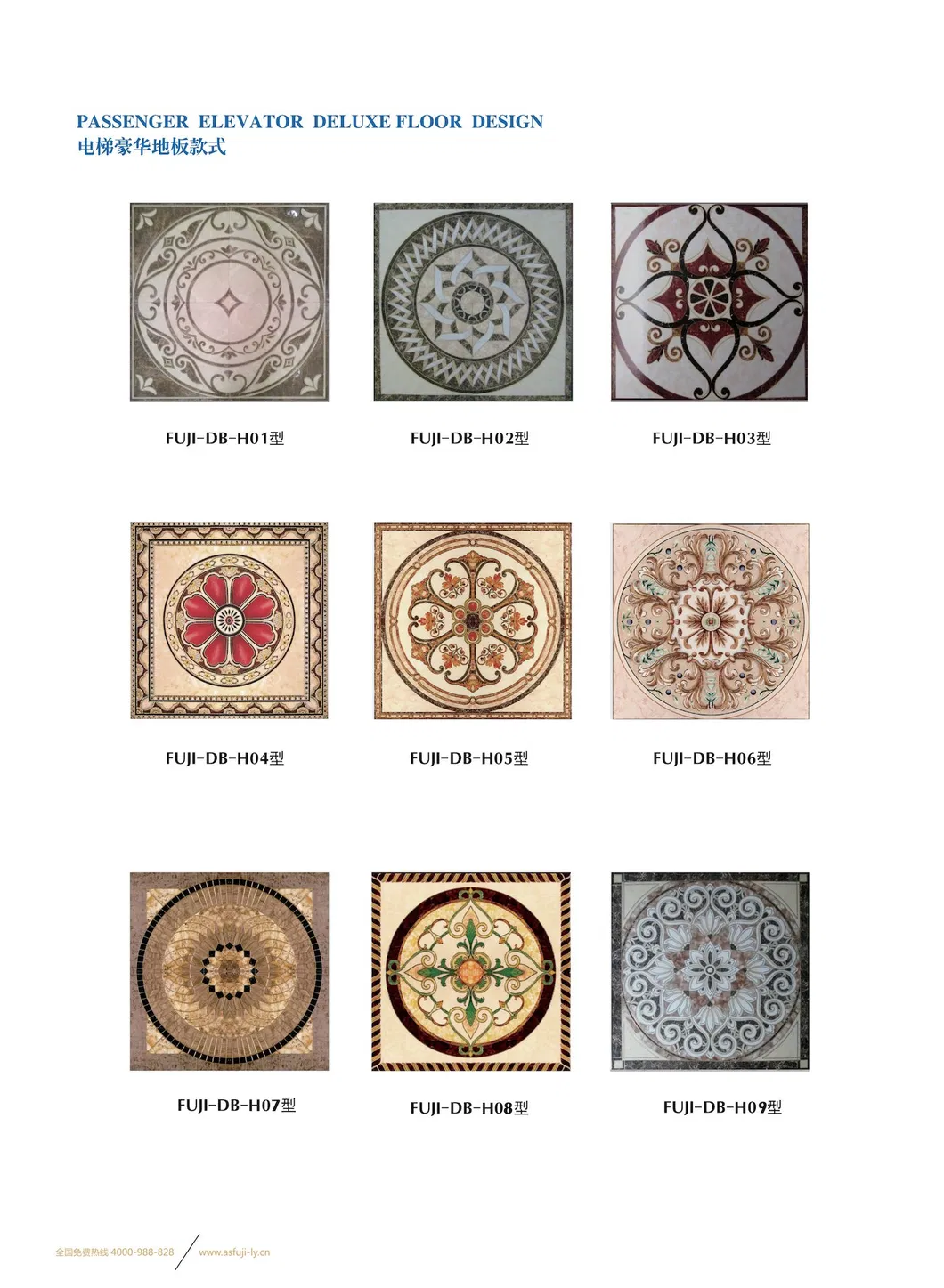 Asia FUJI Passanger Elevator