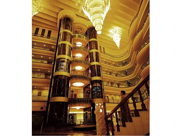 Center Opening Standard Small Machine Room Observation Sightseeing Elevator Lift