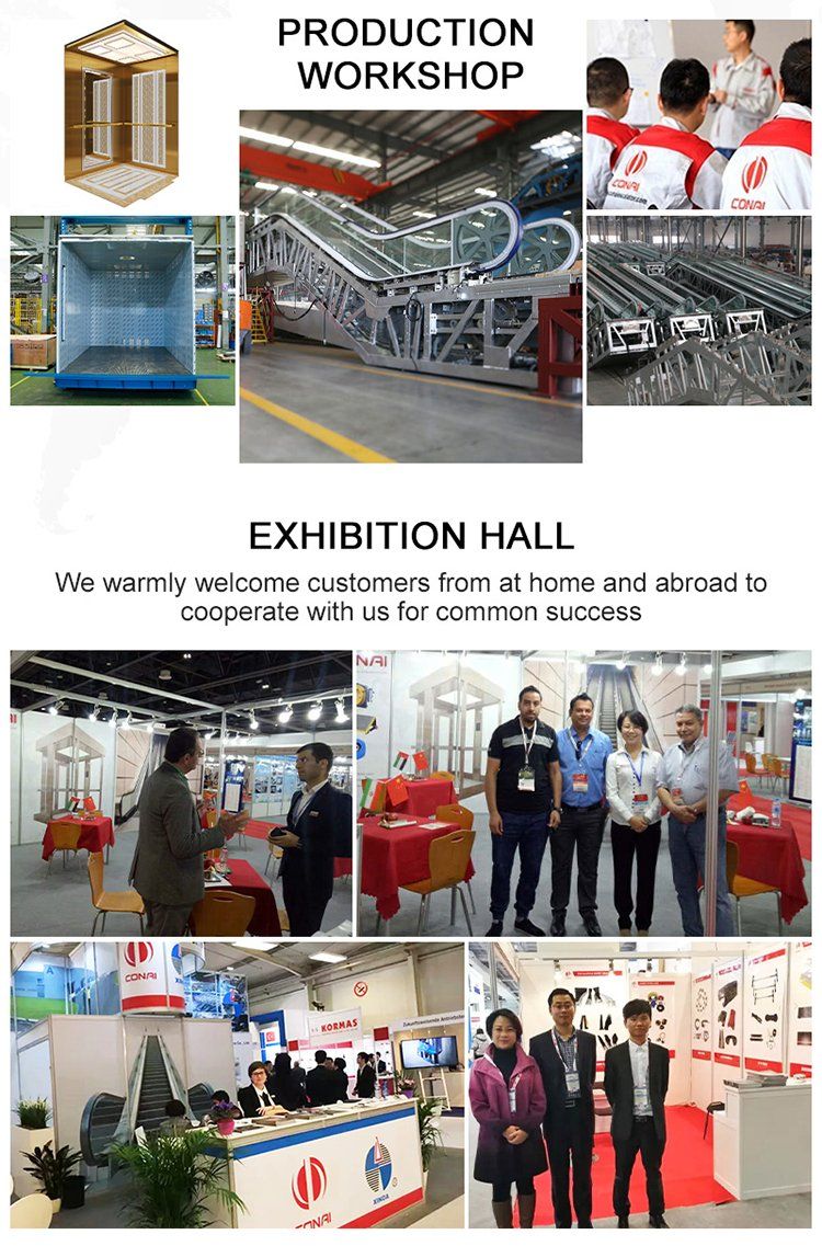 Cheap Glass Passenger Panoramic Lift Observation Elevator Sightseeing Elevator Lifts