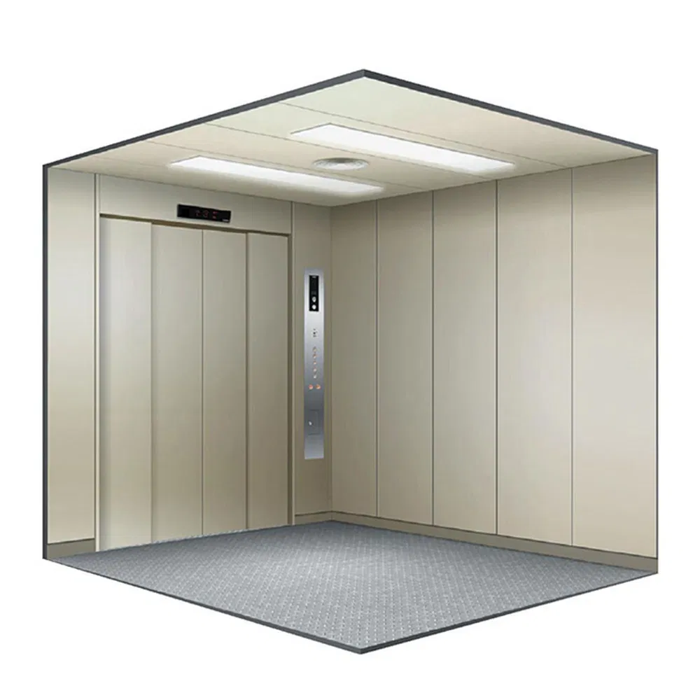 Chinese Supplier 4 Panels Center Opening 0.25m/S Freight Elevator