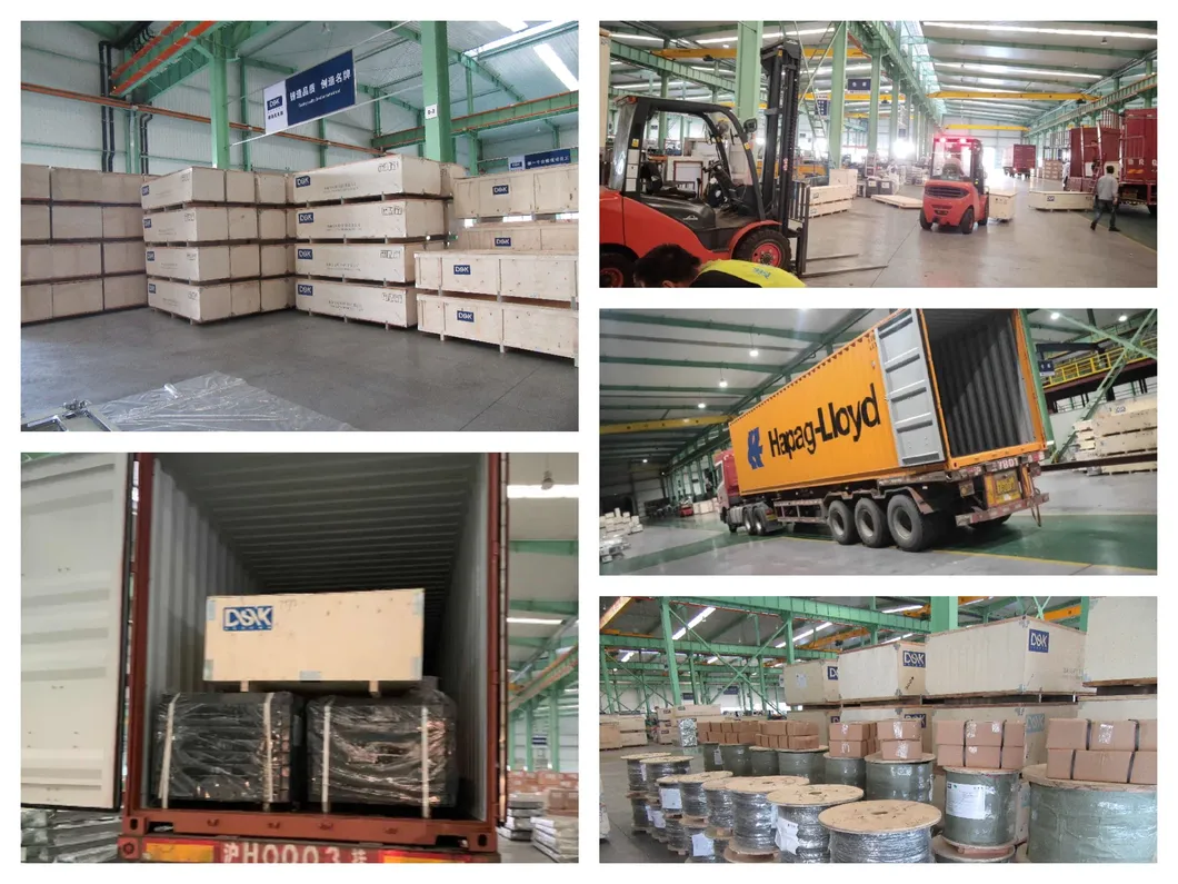 Desenk China Factory Passenger Lift 1000kg Indoor Residential Passenger Elevator Goods Home Lift with Best Price and Good Quality