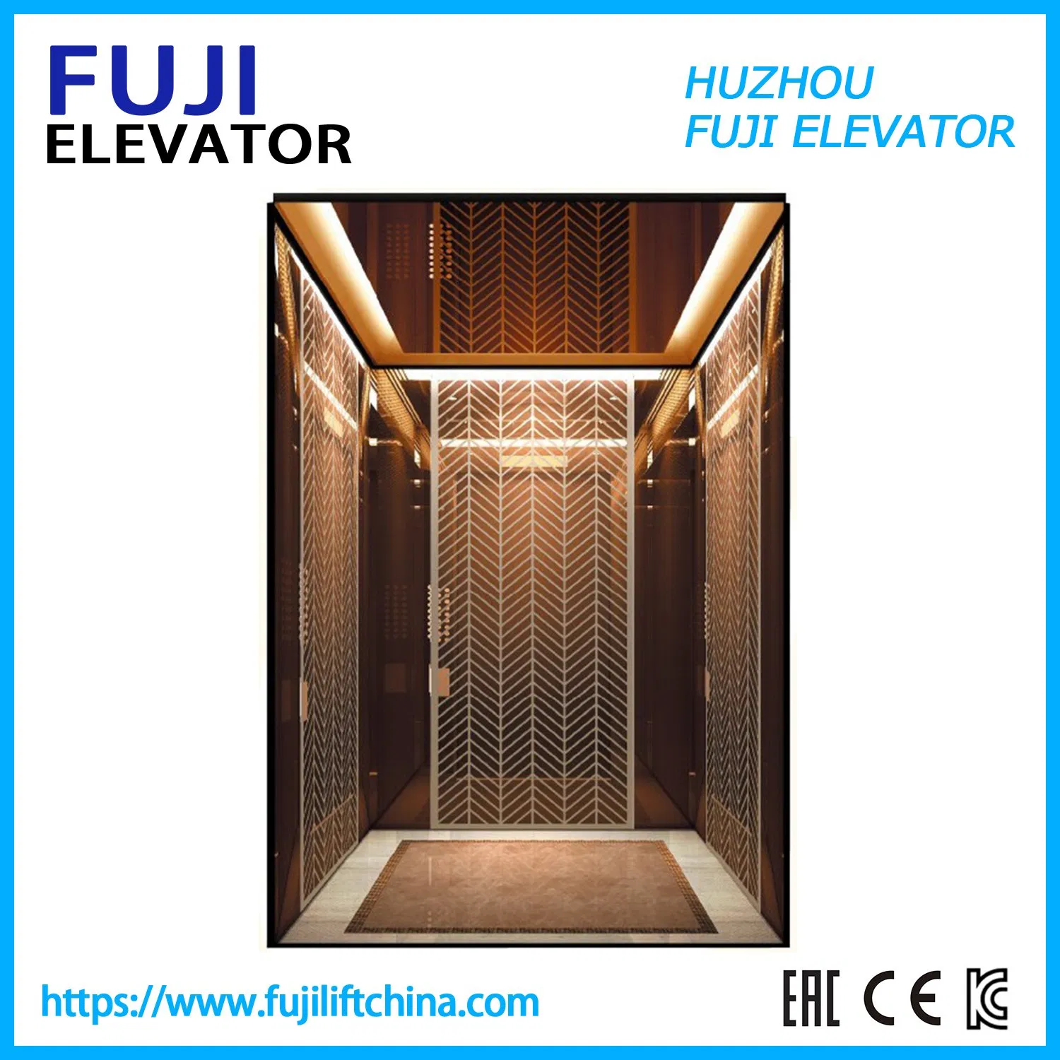 FUJI Brand 8 Persons 630kg 2.5 M/S Stainless Steel Mirror Etching Home Panoramic Villa Passenger Elevator with Vvvf Monarch Control