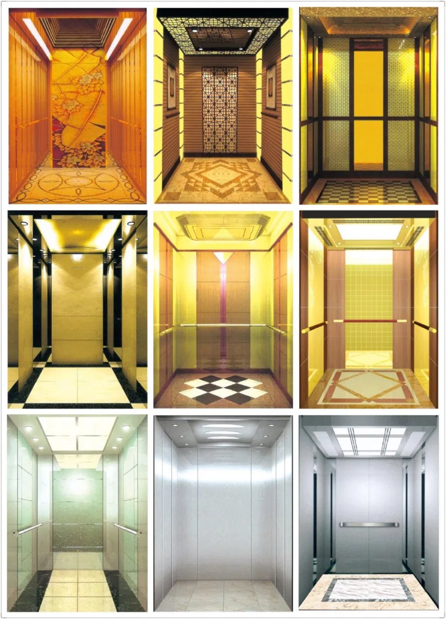 FUJI Brand 8 Persons 630kg 2.5 M/S Stainless Steel Mirror Etching Home Panoramic Villa Passenger Elevator with Vvvf Monarch Control