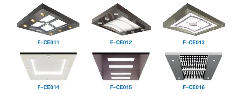 FUJI China Factory Passenger Elevator Home Goods Lift with with Cheap Price Vvvf Control Residential Lift