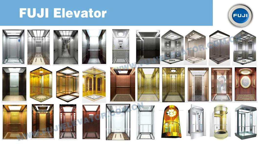 FUJI Home Elevator Hospital Lift Passenger Elevator for Sale