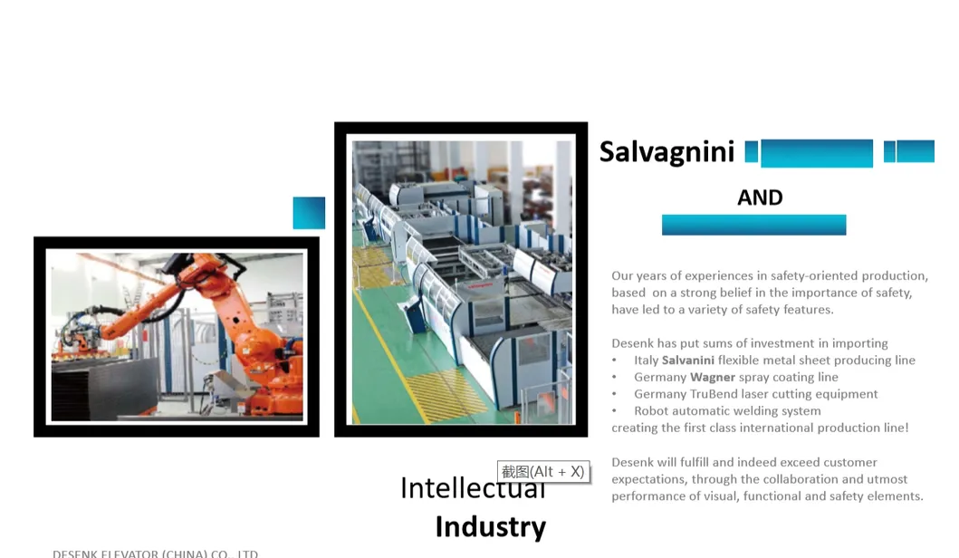 Hairline Stainless Steel Semicircle Panorama Elevator