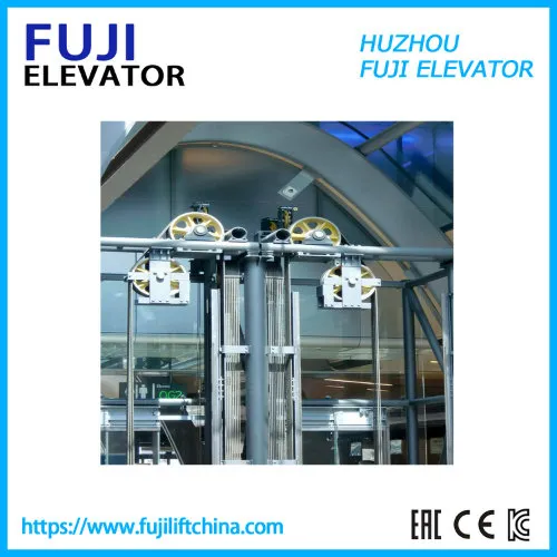 Home Lift/Passenger Elevator with Customized Small Size Cabin