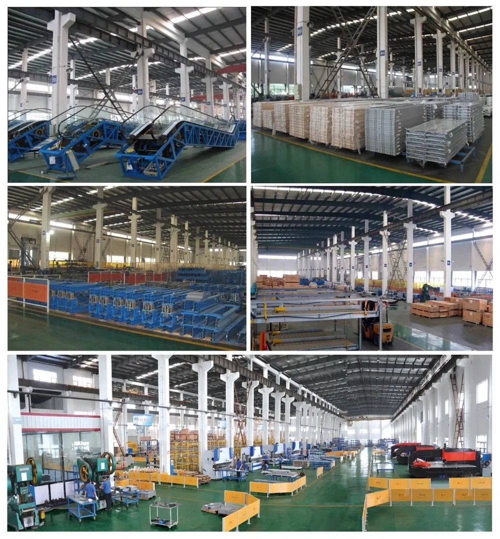 Hot Sale Glass Lift Sup[Plier in China with Ce