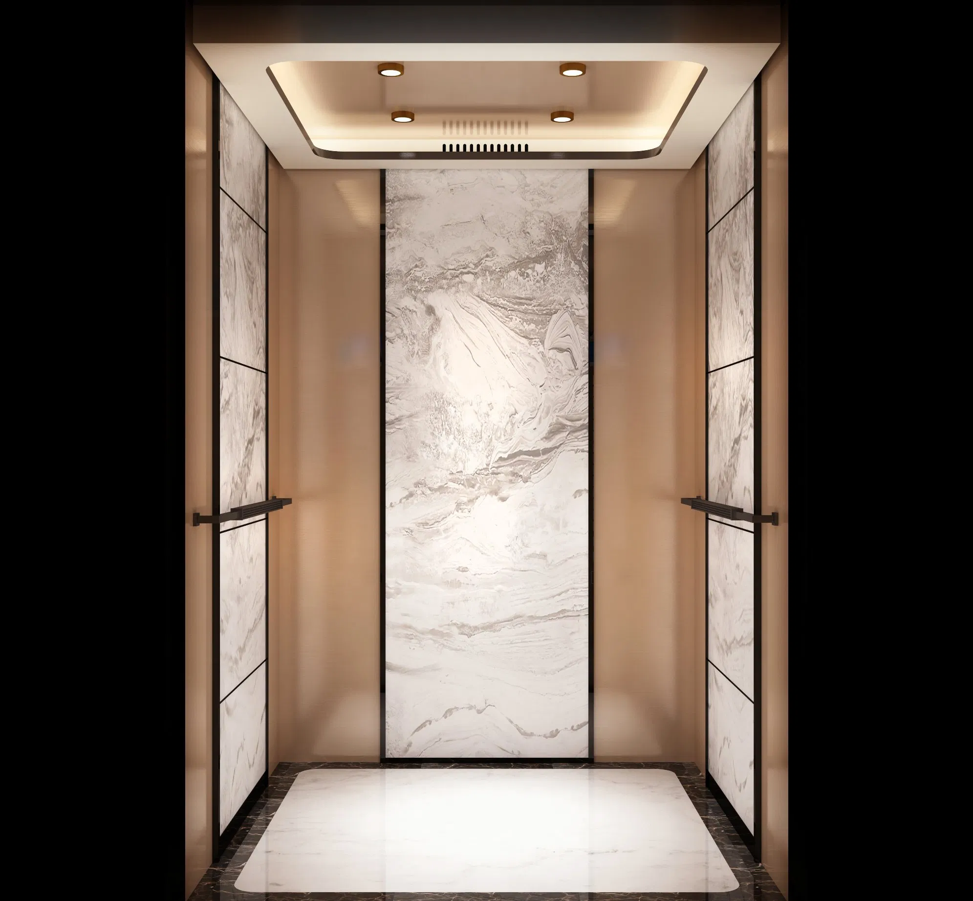 Luxury Hotel Passenger Elevator with Etching Cabin