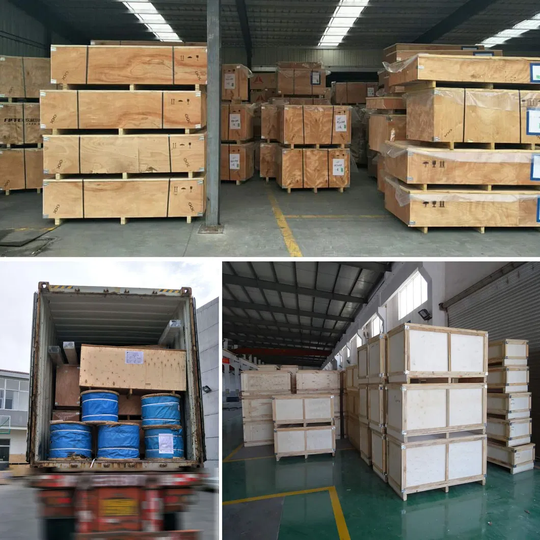 Mitsubishi Type Observation Panorama Elevator with Best Quality