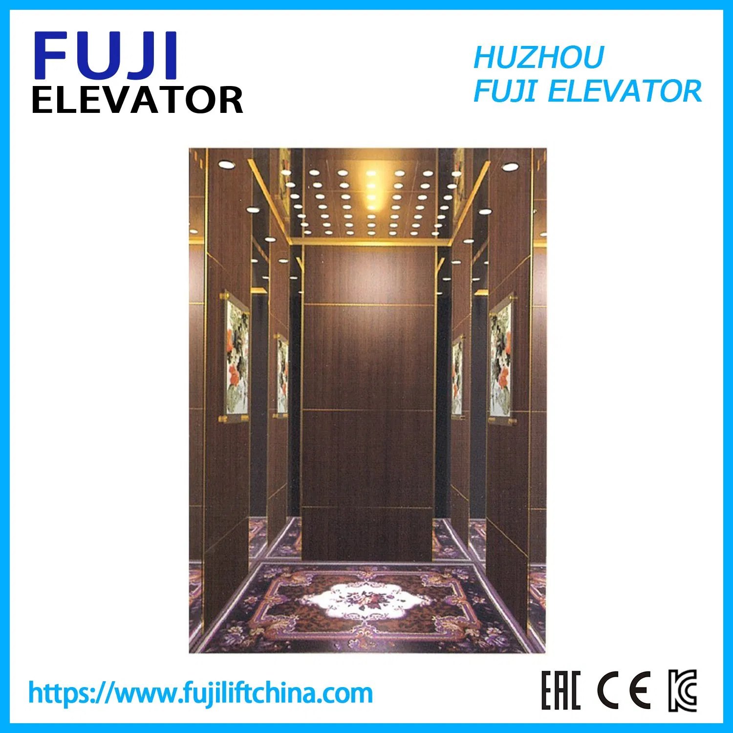 Safety Stable Otis Collective Vvvf 0.4m/S Villa Panoramic Freight Elevator with Good Price