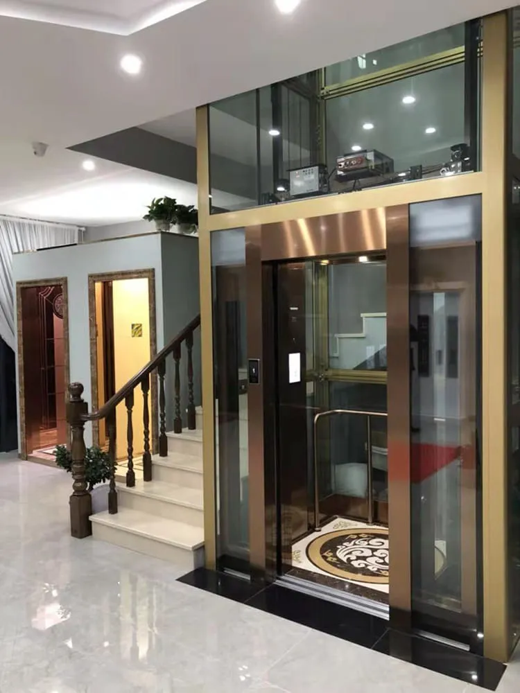 Small-mini villa Panoramic sightseeing lift manuafcturer 250/320/400/450/630kg mr/l-persons passenger elevator