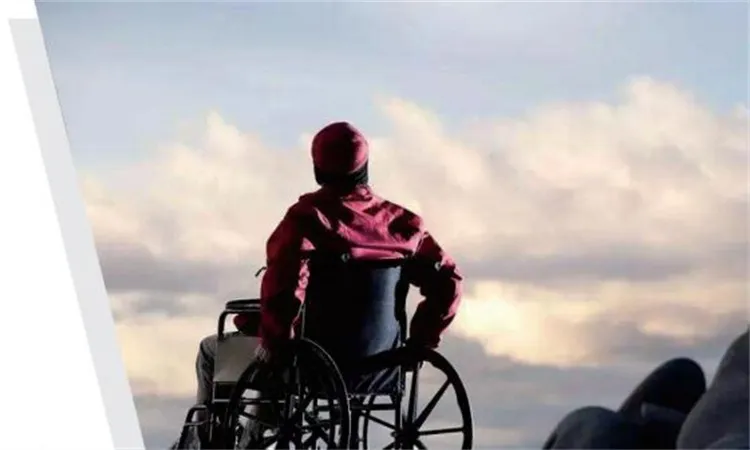 Top Performance Villa Elevator for Apartment Building